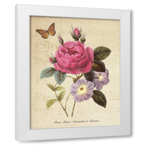 Rose Superb II White Modern Wood Framed Art Print by Greene, Taylor