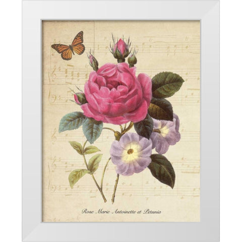 Rose Superb II White Modern Wood Framed Art Print by Greene, Taylor