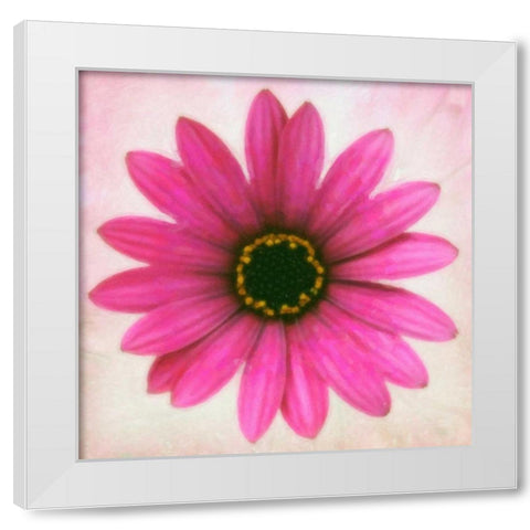 DAISY CHAIN 1 White Modern Wood Framed Art Print by Greene, Taylor