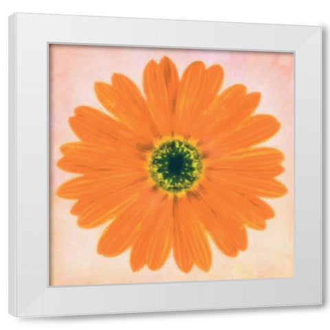 DAISY CHAIN 3 White Modern Wood Framed Art Print by Greene, Taylor