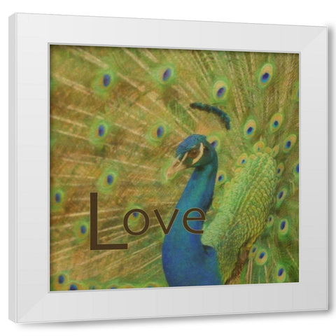 Peacock Love C White Modern Wood Framed Art Print by Greene, Taylor
