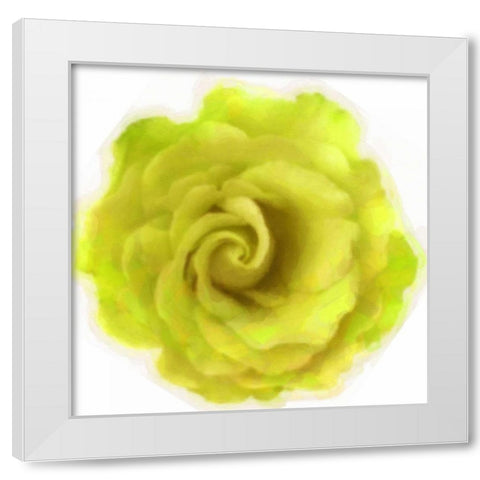 Yello Rose White Modern Wood Framed Art Print by Greene, Taylor