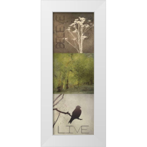 SIlhouette Beauty  A White Modern Wood Framed Art Print by Greene, Taylor