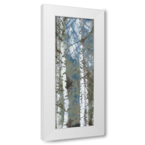Birch Scape 1 White Modern Wood Framed Art Print by Greene, Taylor