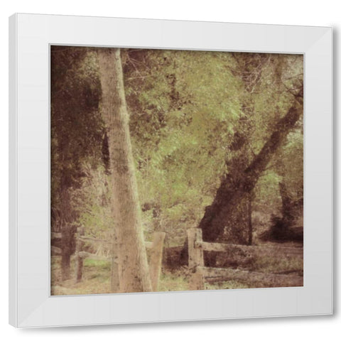 Tree Silhouette White Modern Wood Framed Art Print by Greene, Taylor