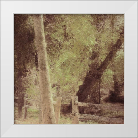 Tree Silhouette White Modern Wood Framed Art Print by Greene, Taylor