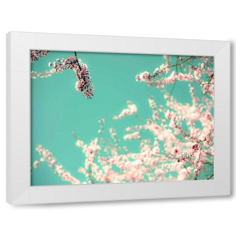 Apple Sky White Modern Wood Framed Art Print by Telik, Tracey