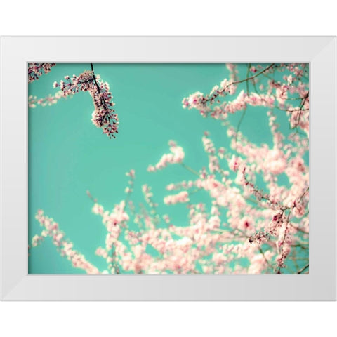 Apple Sky White Modern Wood Framed Art Print by Telik, Tracey