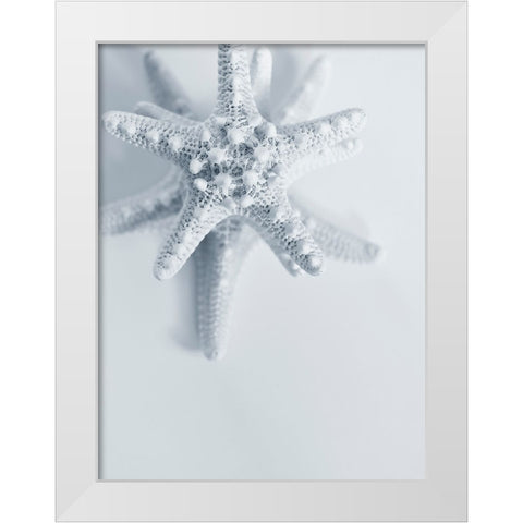 Starfish White Modern Wood Framed Art Print by Telik, Tracey