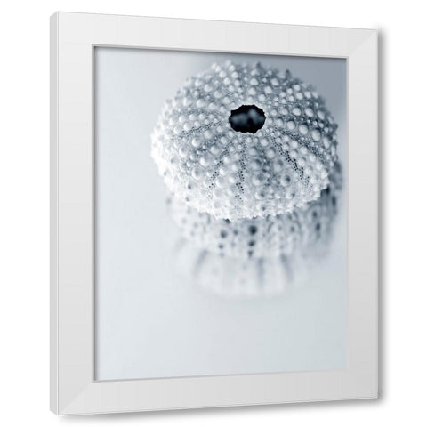 Urchins White Modern Wood Framed Art Print by Telik, Tracey