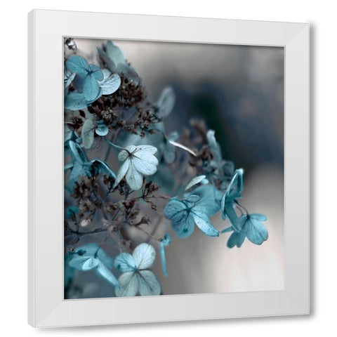 Blue Hydrangea White Modern Wood Framed Art Print by Telik, Tracey
