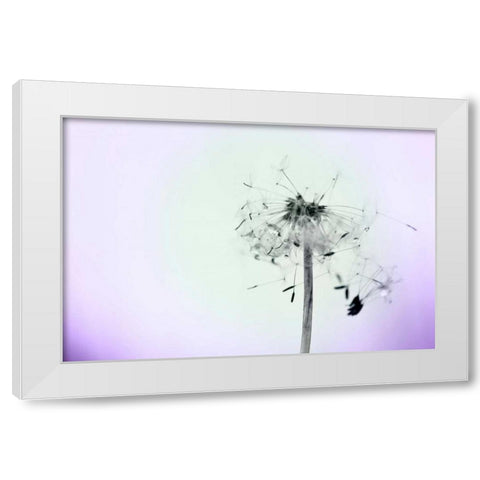 Wishes On A Wind White Modern Wood Framed Art Print by Telik, Tracey