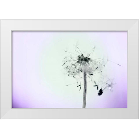 Wishes On A Wind White Modern Wood Framed Art Print by Telik, Tracey