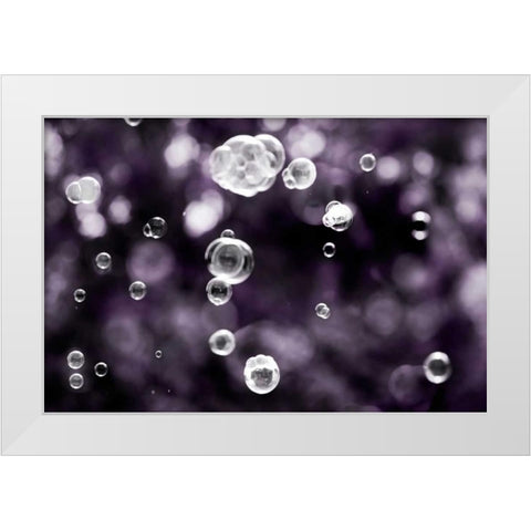 Bubbly White Modern Wood Framed Art Print by Telik, Tracey