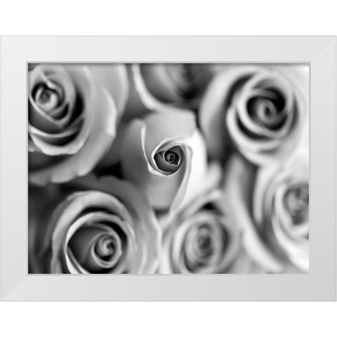 Monotone Bouquet White Modern Wood Framed Art Print by Telik, Tracey