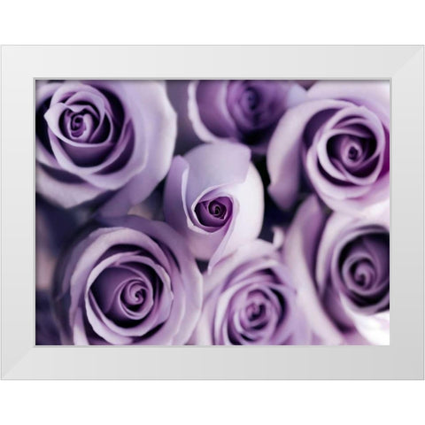Lavender Bouquet White Modern Wood Framed Art Print by Telik, Tracey