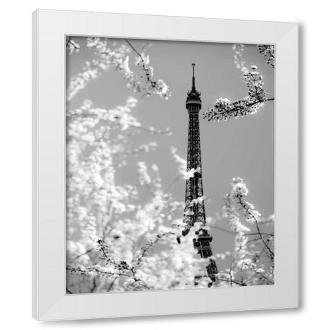 Spring Eiffel BW White Modern Wood Framed Art Print by Telik, Tracey