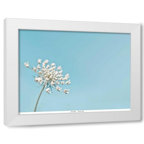 Lace 1 Blue White Modern Wood Framed Art Print by Telik, Tracey