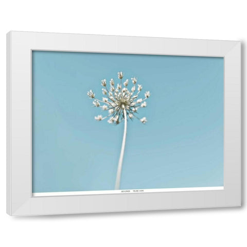 Lacey 2 White Modern Wood Framed Art Print by Telik, Tracey
