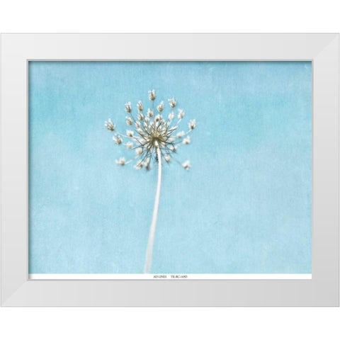 Lacey Texture 2 White Modern Wood Framed Art Print by Telik, Tracey