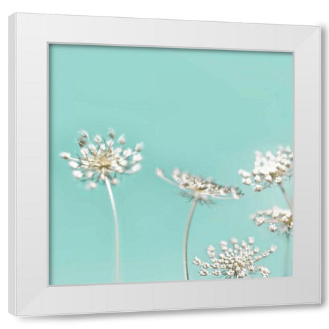 Queens Mint 40 White Modern Wood Framed Art Print by Telik, Tracey