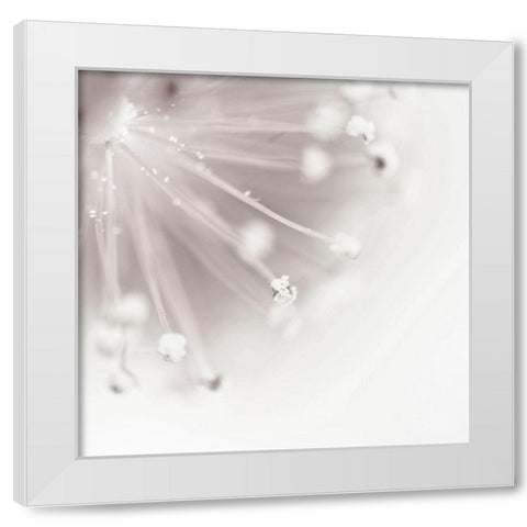 Flagella 2 White Modern Wood Framed Art Print by Urban Epiphany