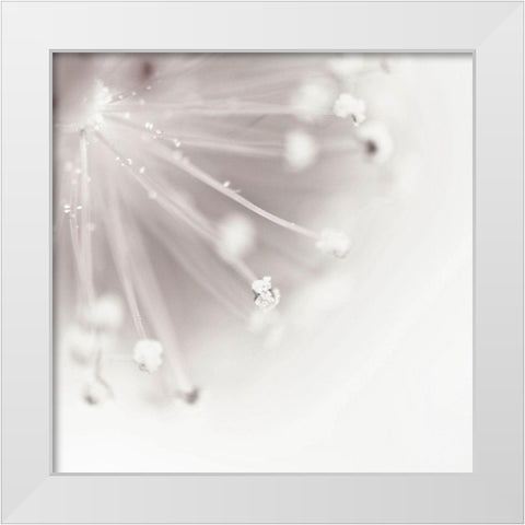 Flagella 2 White Modern Wood Framed Art Print by Urban Epiphany