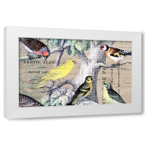 Bird Botanical 4 White Modern Wood Framed Art Print by Jordan, Elizabeth