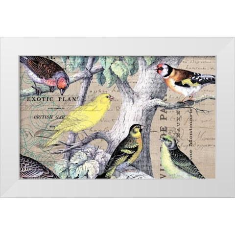Bird Botanical 4 White Modern Wood Framed Art Print by Jordan, Elizabeth