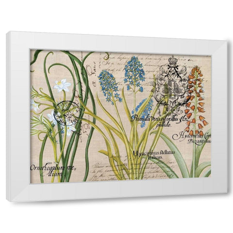 Flower Botanical White Modern Wood Framed Art Print by Jordan, Elizabeth