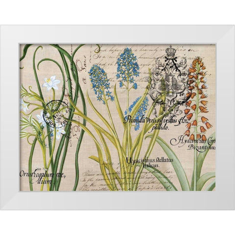 Flower Botanical White Modern Wood Framed Art Print by Jordan, Elizabeth