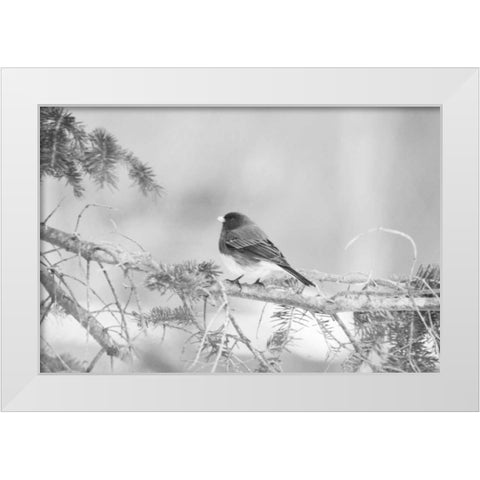 Waiting On The World To Change White Modern Wood Framed Art Print by Jordan, Elizabeth