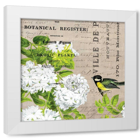Botanical Register 2 White Modern Wood Framed Art Print by Jordan, Elizabeth