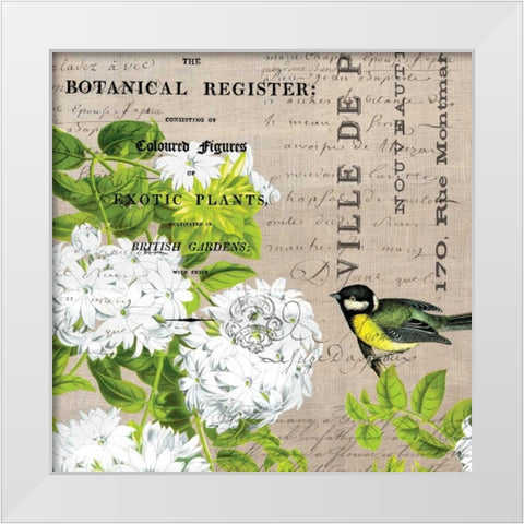 Botanical Register 2 White Modern Wood Framed Art Print by Jordan, Elizabeth