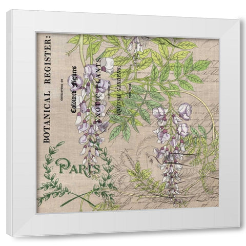 Botanical Register 3 White Modern Wood Framed Art Print by Jordan, Elizabeth