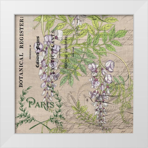 Botanical Register 3 White Modern Wood Framed Art Print by Jordan, Elizabeth