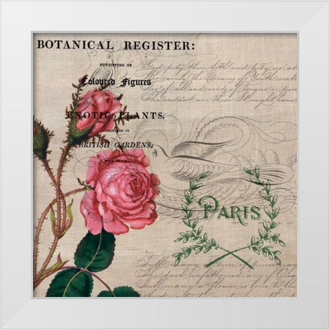Botanical Register board White Modern Wood Framed Art Print by Jordan, Elizabeth