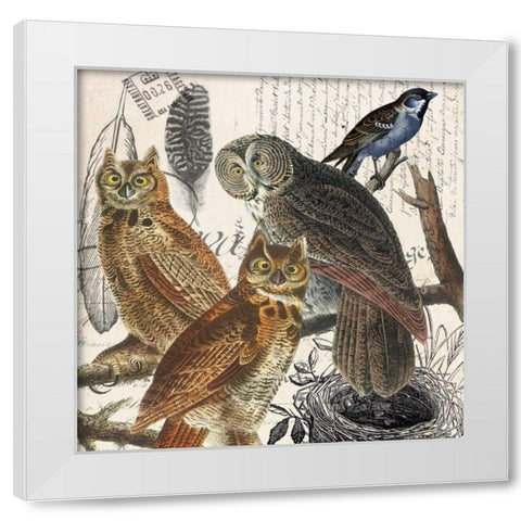 Owl White Modern Wood Framed Art Print by Jordan, Elizabeth