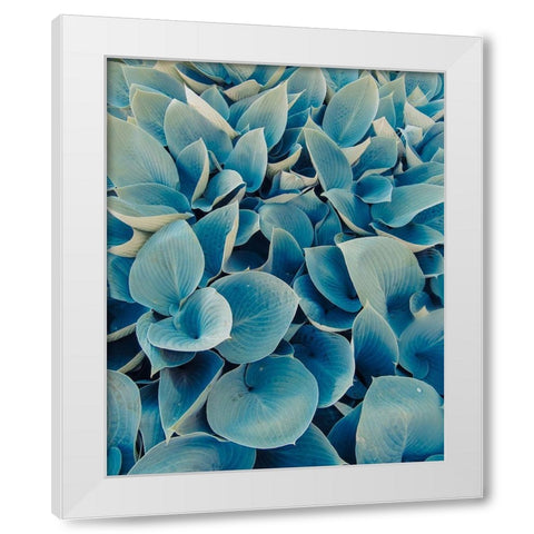 Green Plants Happy Day 1 White Modern Wood Framed Art Print by Urban Epiphany