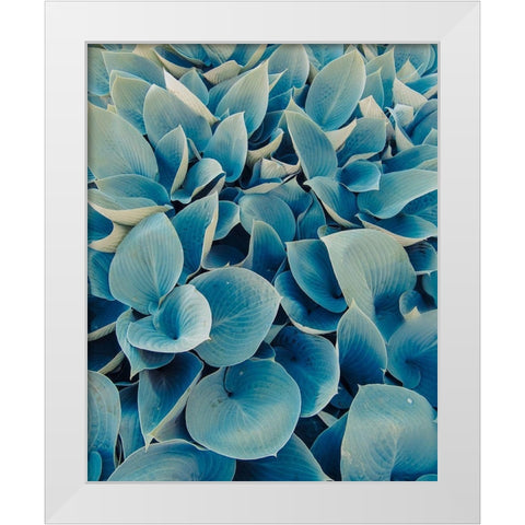 Green Plants Happy Day 1 White Modern Wood Framed Art Print by Urban Epiphany