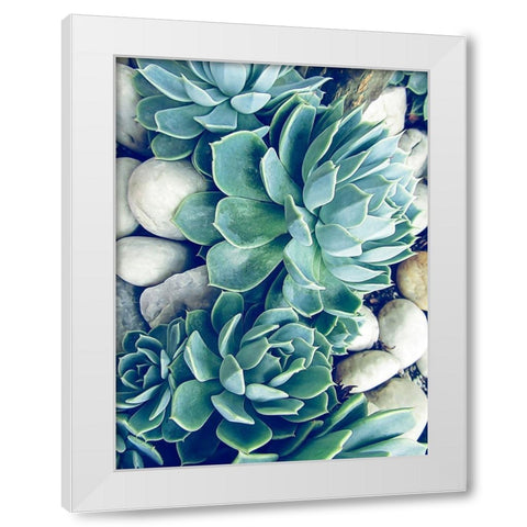 Succulents no words White Modern Wood Framed Art Print by Urban Epiphany