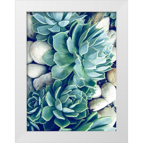 Succulents no words White Modern Wood Framed Art Print by Urban Epiphany