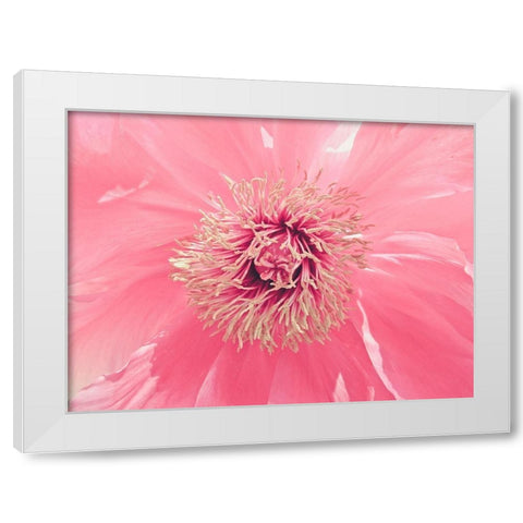 Pink Peony French Macaroon White Modern Wood Framed Art Print by Urban Epiphany