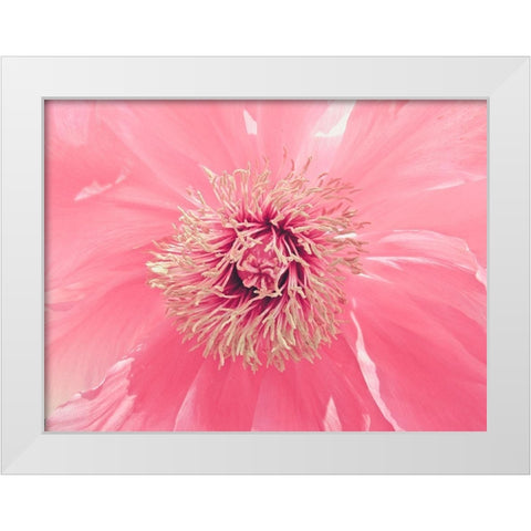 Pink Peony French Macaroon White Modern Wood Framed Art Print by Urban Epiphany