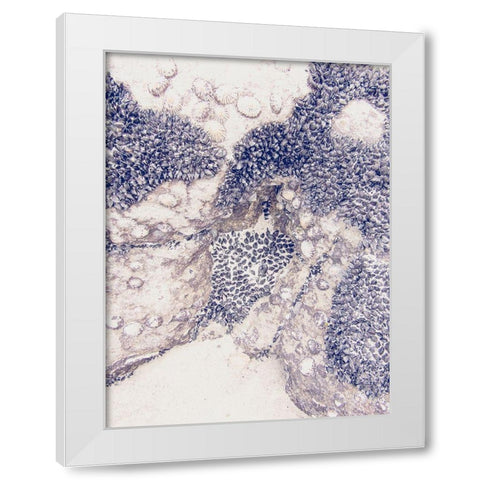 Shells 1 White Modern Wood Framed Art Print by Urban Epiphany
