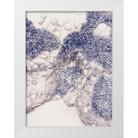 Shells 1 White Modern Wood Framed Art Print by Urban Epiphany