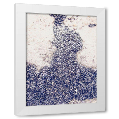 Shells 3 White Modern Wood Framed Art Print by Urban Epiphany
