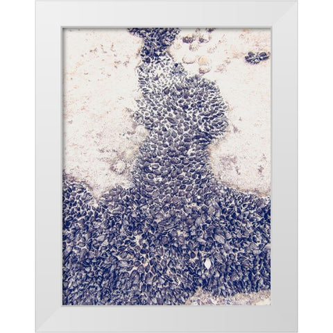Shells 3 White Modern Wood Framed Art Print by Urban Epiphany