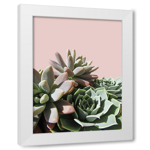 Pink Green Succulents White Modern Wood Framed Art Print by Urban Epiphany