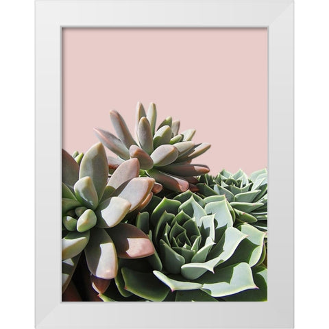 Pink Green Succulents White Modern Wood Framed Art Print by Urban Epiphany
